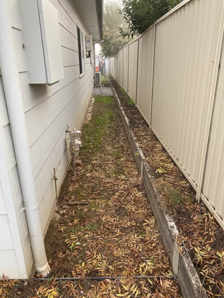 Leaf-covered, overgrown side path before