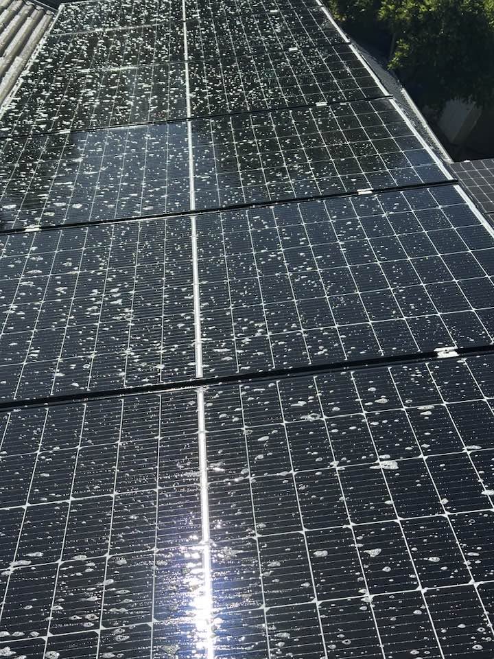 Clean solar panels after a Jenko's visit