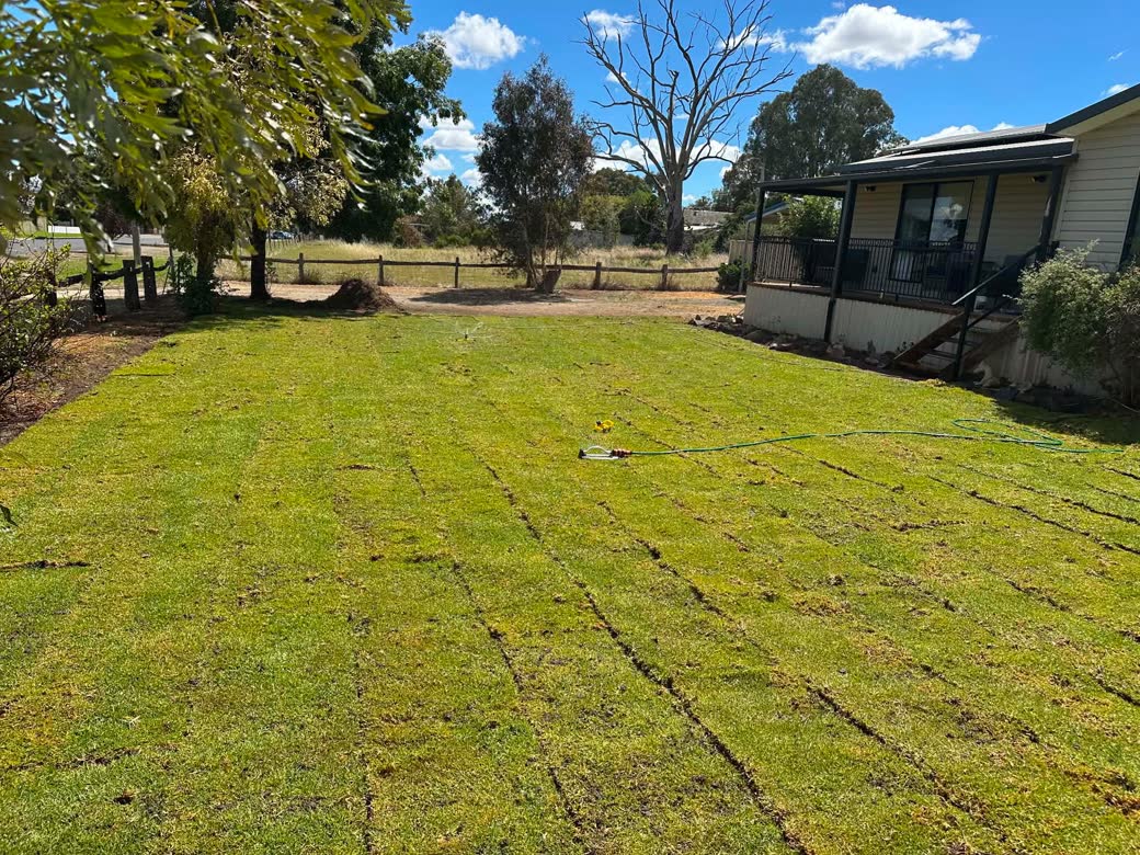 Fresh turf laid roll by roll across a large yard