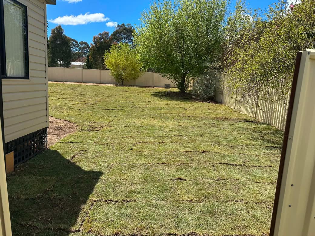 New turf laid across a backyard near Boorowa