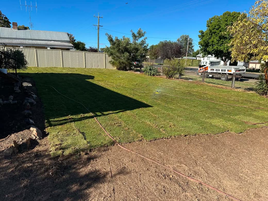 Freshly laid lawn in a Boorowa backyard